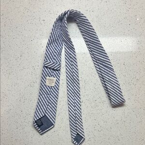 J. Crew Blue and White Diagonal Stripe Kids Tie